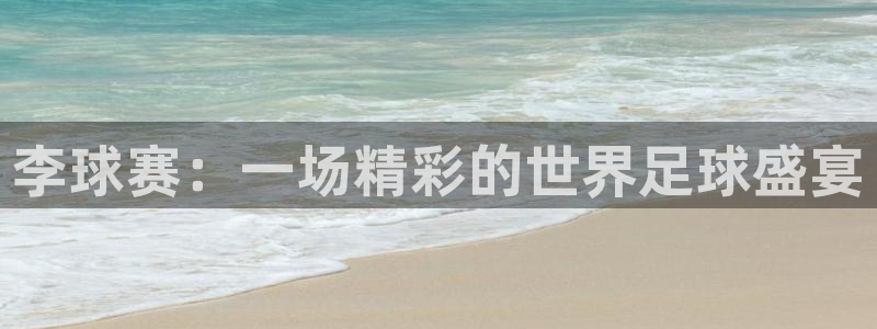 李球赛：一场精彩的世界足球盛宴
