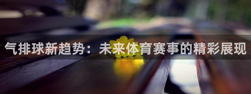 气排球新趋势：未来体育赛事的精彩展现
