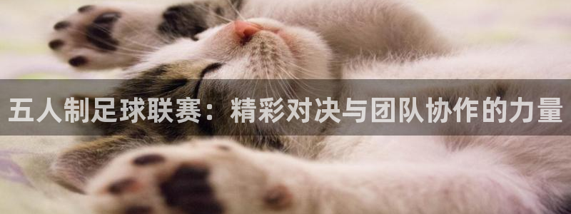 五人制足球联赛：精彩对决与团队协作的力量