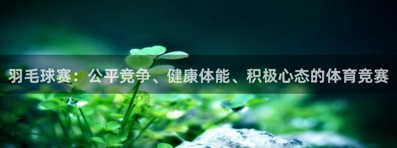 羽毛球赛：公平竞争、健康体能、积极心态的体育竞赛