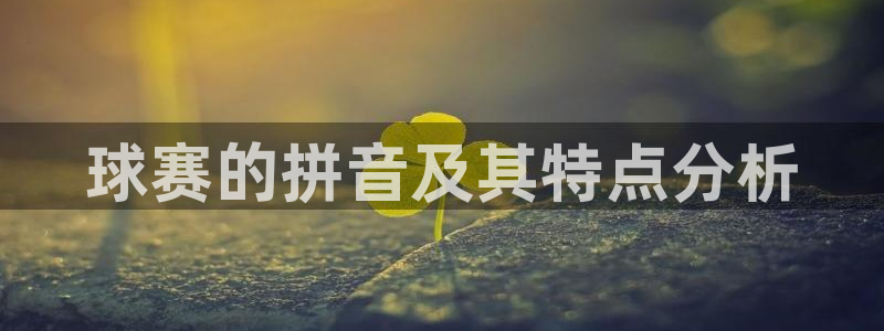 球赛的拼音及其特点分析