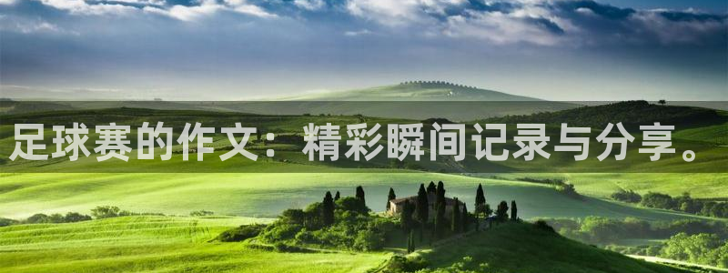 足球赛的作文：精彩瞬间记录与分享。
