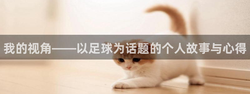 我的视角——以足球为话题的个人故事与心得