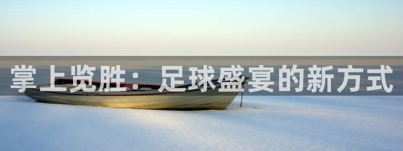 mk体育APP官方最新版本更新内容：掌上览胜：足球盛宴的新方